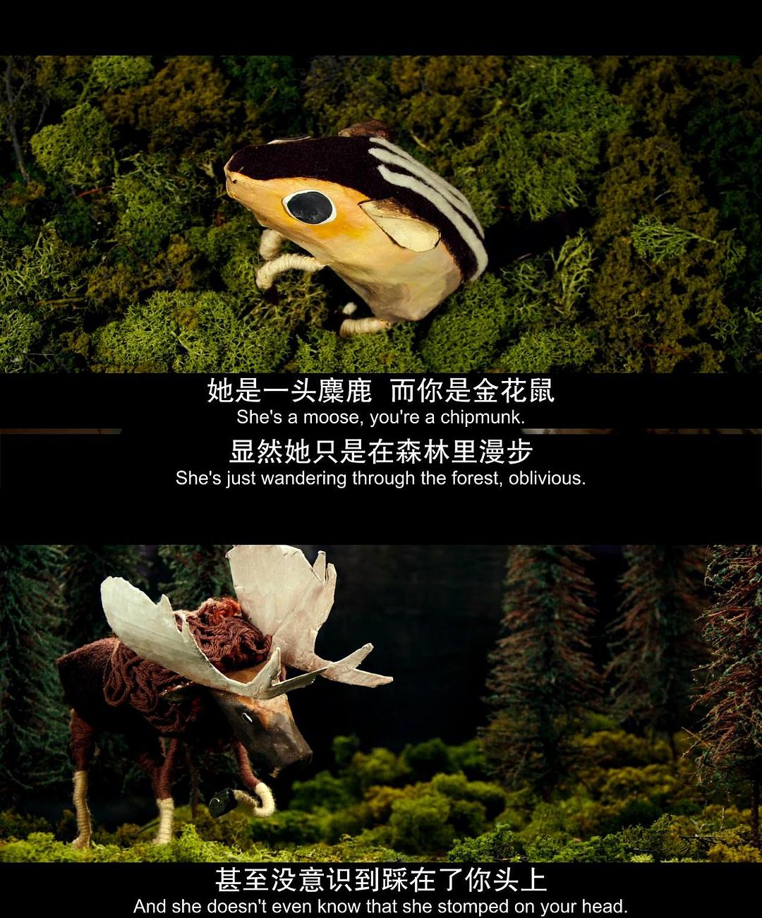 《我和厄尔以及将死的女孩》海报第27张图片 《我和厄尔以及将死的女孩》海报第27张图片