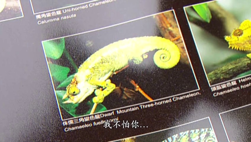 《当旺爸爸》剧照第42张图片 《当旺爸爸》剧照第42张图片