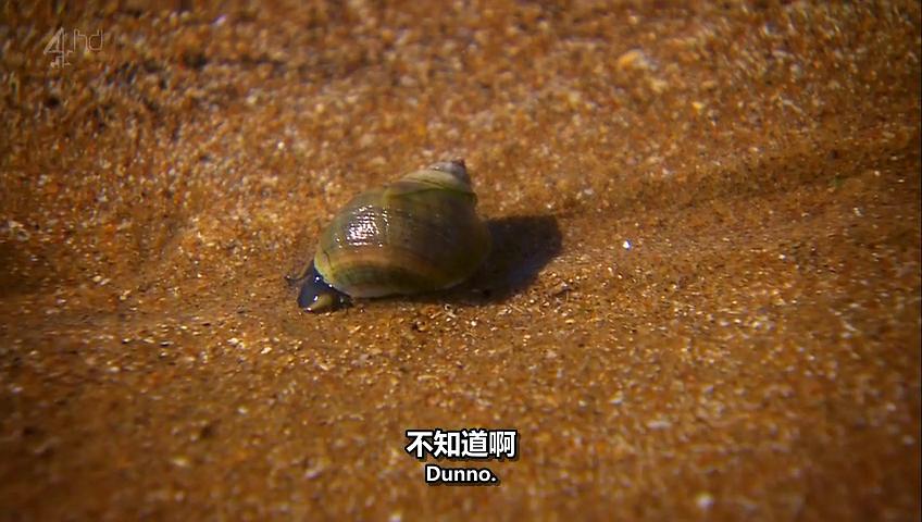 《德里克第一季》剧照第47张图片 《德里克第一季》剧照第47张图片