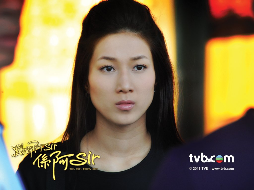 《点解阿Sir系阿Sir》海报第15张图片 《点解阿Sir系阿Sir》海报第15张图片