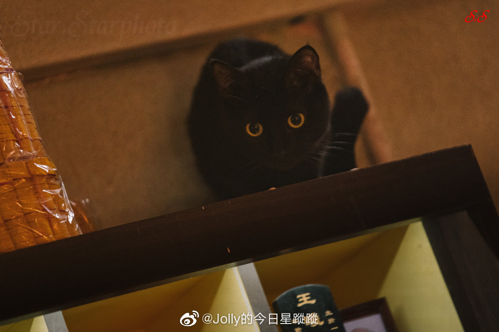 《金宵大厦2》剧照第9张图片 《金宵大厦2》剧照第9张图片